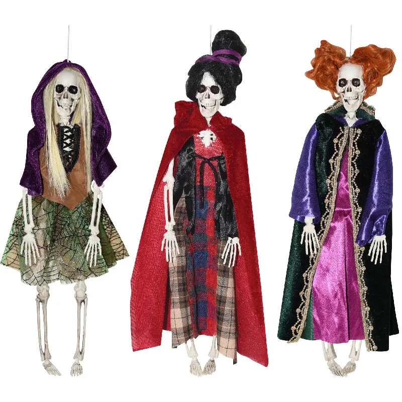- Car dog seat belt Skeleton Witch, 16 Inches, Assortment, 1 Count